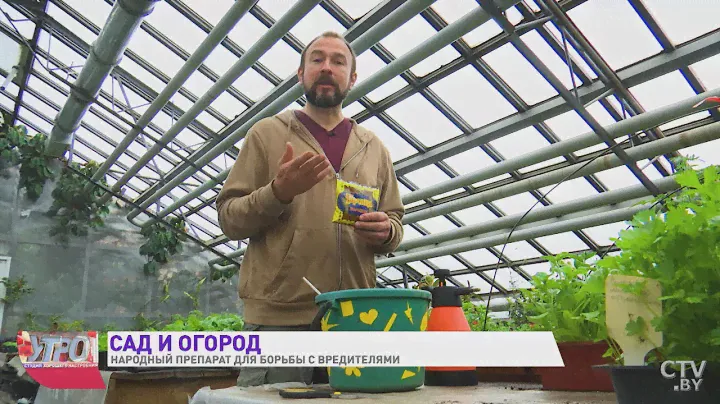 Иван Русских: Безопасное чудо-средство от вредителей! Спасаем сад и огород