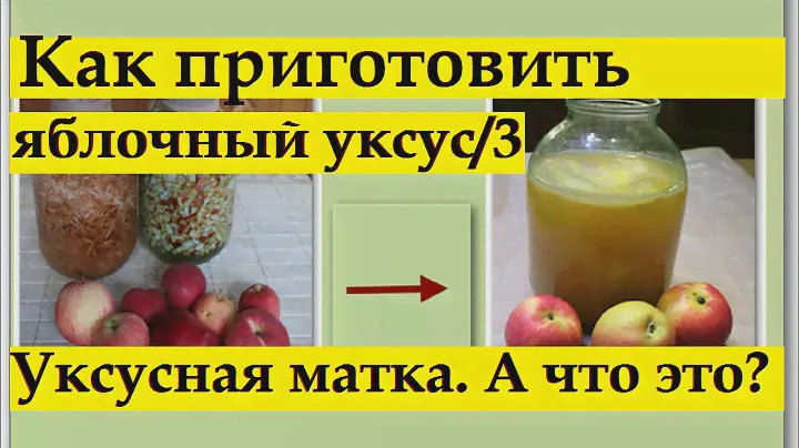 146_Яблочный уксус. Ч. 3. Прошло еще 2 недели… Уксусная матка. А что это?