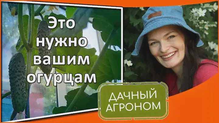 Сделали это огурцам СМОТРИТЕ ЧТО ПОЛУЧИЛОСЬ + БОНУС