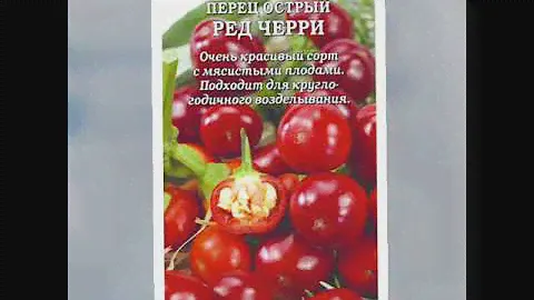 Посадила перчик Ред Черри.