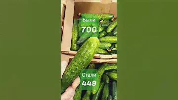 Огурцы со скидкой #огурцы #пятёрочка#азбукавкуса #еда #продукты #магнит #скидкивмагазинах #недорого
