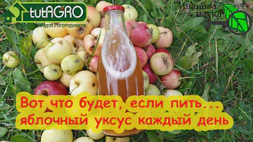 ПЕЙТЕ УКСУС КАЖДЫЙ ДЕНЬ и вот что будет! Убираем завалы в почках и лишний вес, избавляемся от хворей