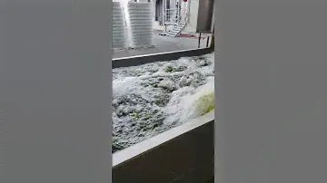 Завод Дядя Ваня