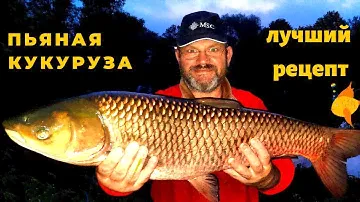 ПЬЯНАЯ КУКУРУЗА  Лучший рецепт проверенный временем
