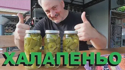 ПЕРЕЦ ХАЛАПЕНЬО ОТ ПОСАДКИ ДО ПРИГОТОВЛЕНИЯ. РЕЦЕПТЫ СЮФ