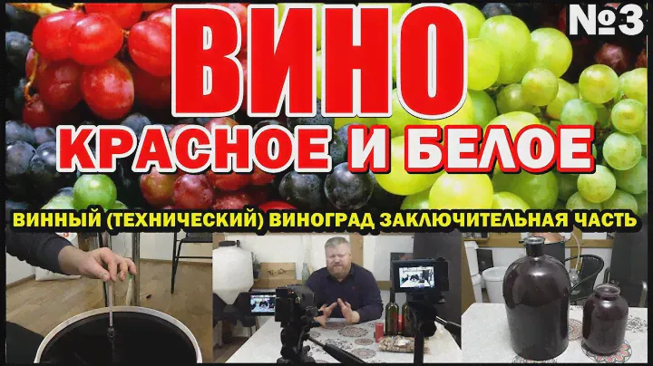 КРАСНОЕ и БЕЛОЕ ВИНО // В ДОМАШНИХ УСЛОВИЯХ // Технический виноград // Заключительная часть №3