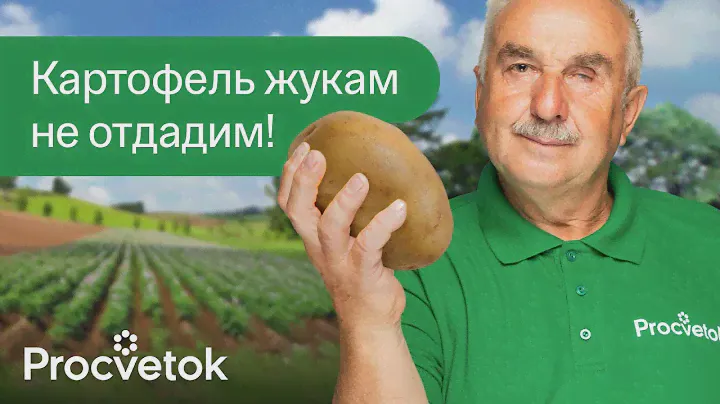 В ДВА РАЗА БОЛЬШЕ КАРТОШКИ БЕЗ УСИЛИЙ! Убиваем колорадского жука, проволочника и хруща НАПОВАЛ!