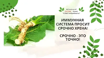 ХРЕН | Чем полезен хрен? |  Хрен - народный лекарь | Хреновина - самый полезный рецепт