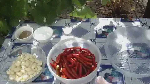 Аджика простой рецепт  Абхазская аджика