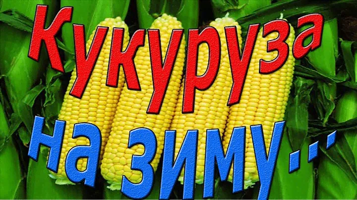 КУКУРУЗА , КОНСЕРВАЦИЯ КУКУРУЗЫ В ДОМАШНИХ УСЛОВИЯХ НА ЗИМУ.