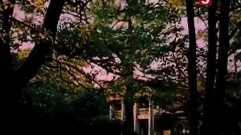 "Дядя Ваня", 2 серия (заключит). ЛенТВ, 1986 г.