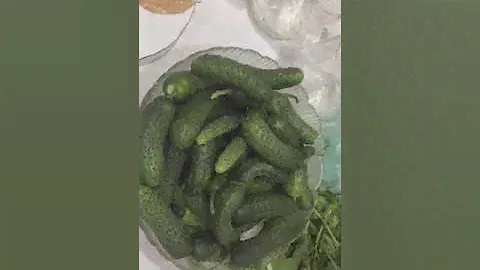Корнишоны как в магазине!!!