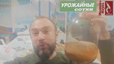 Домашний уксус и уксусная матка, чайный гриб, комбуча... Все это - они! What Is Kombucha?